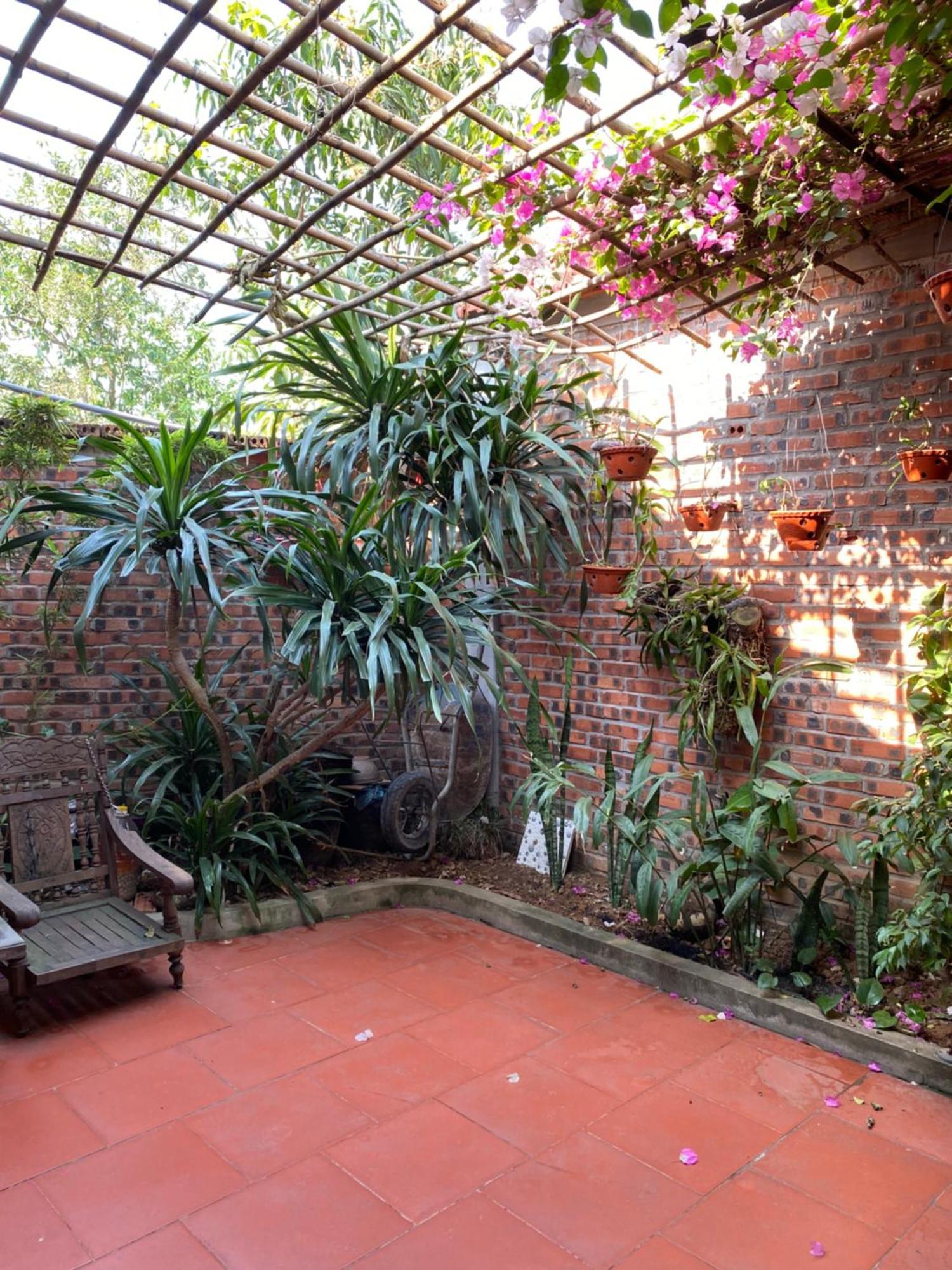Tam Coc Charming Bungalow 宁平 外观 照片